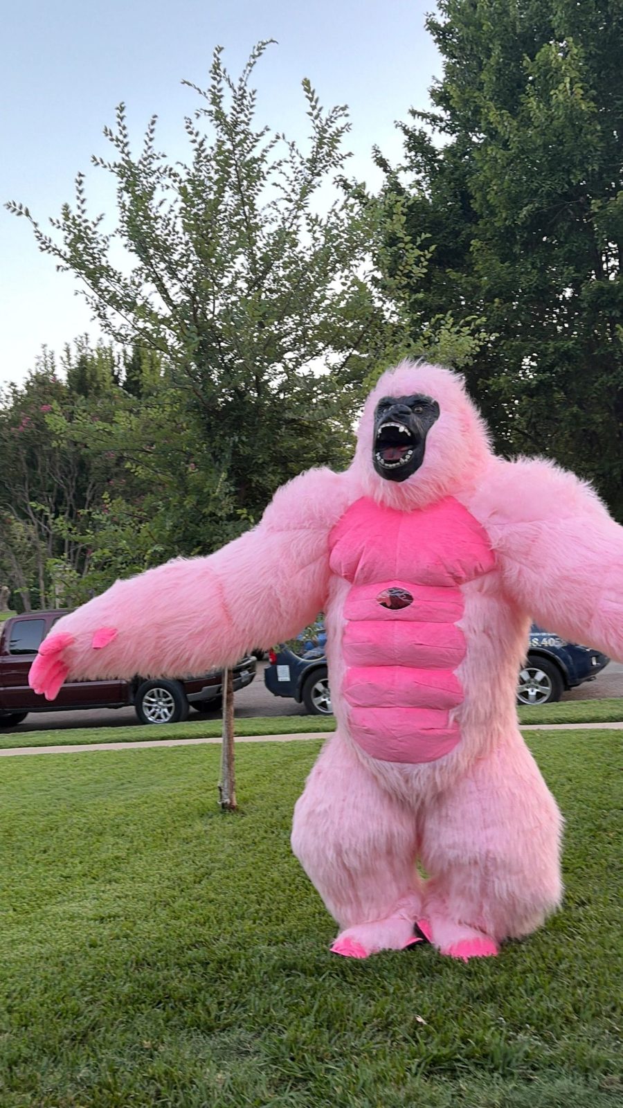 Pink inflatable gorilla character for the gorilla show